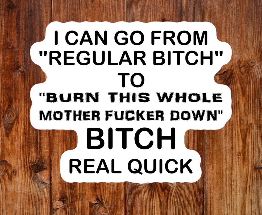 Sarcastic Waterproof Weatherproof Vinyl Sticker | I Go From Regular B