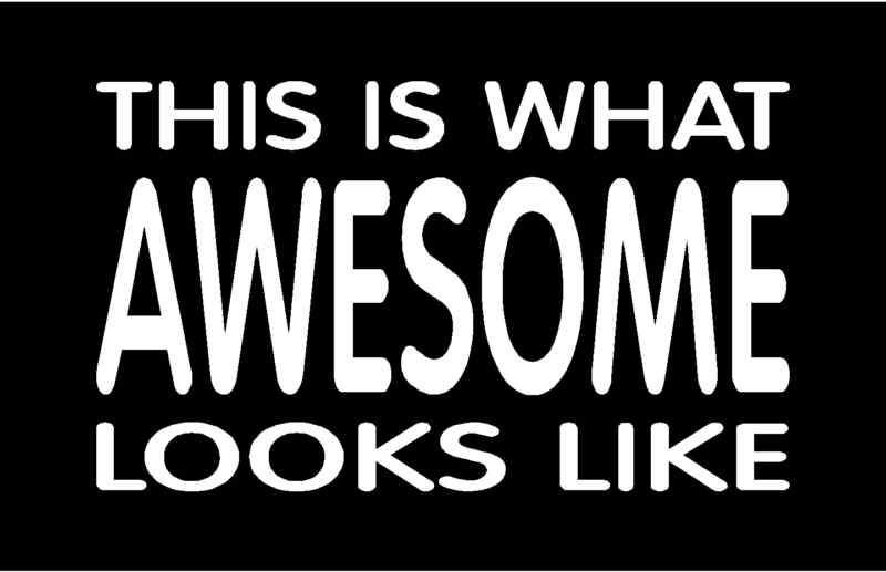 THIS IS WHAT AWESOME LOOKS LIKE Vinyl Decal 8″ x 4.75″