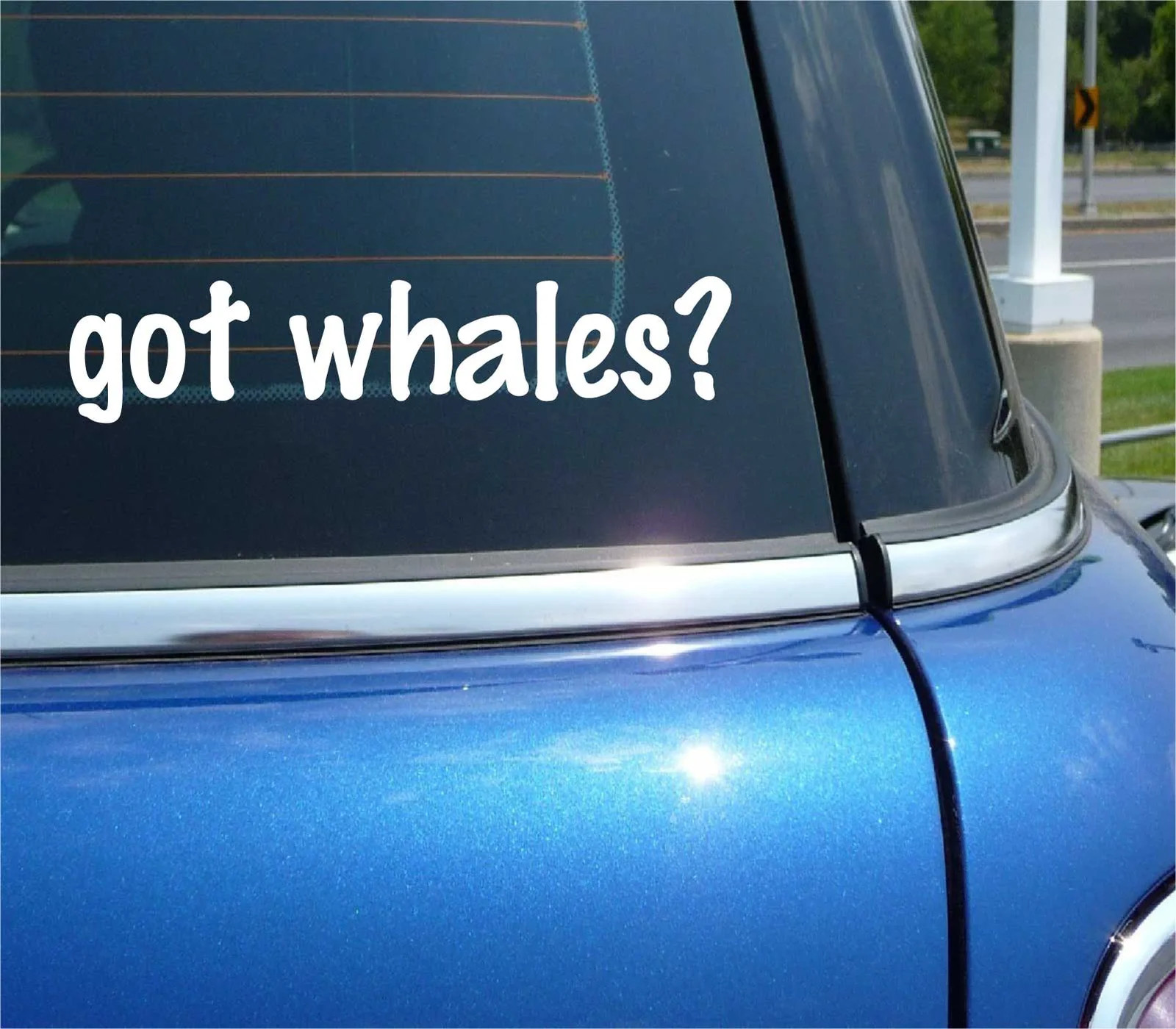 got whales? CAR DECAL BUMPER STICKER VINYL FUNNY JOKE WINDOW
