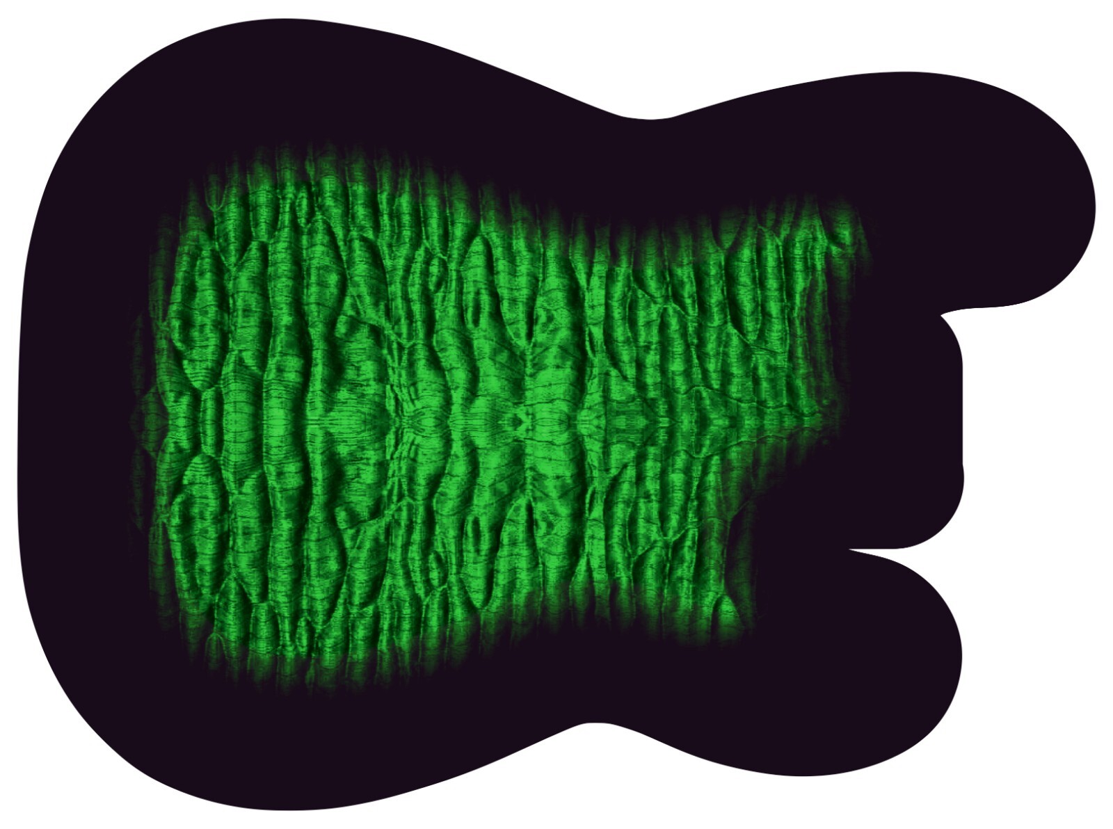 Guitar Vinyl Wrap Sticker Skins Emerald Burst- Choice of 4 Body Shapes GS221