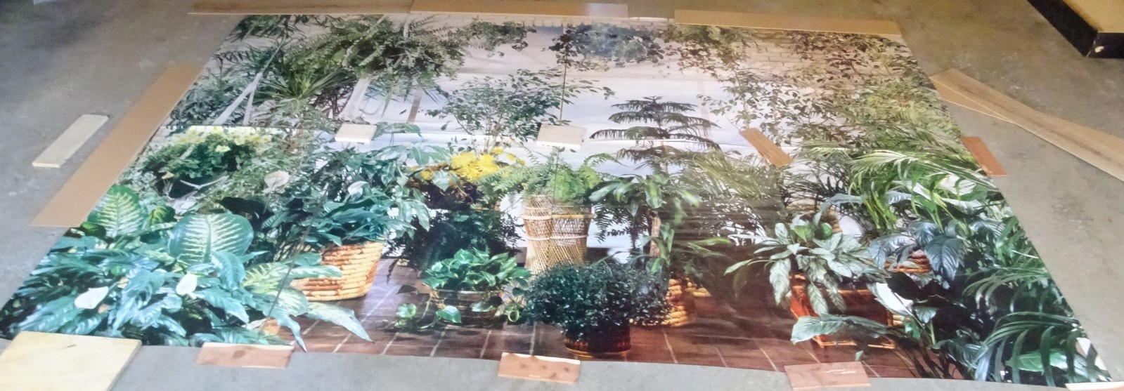 Full Wall Size Mural Tropical Plants Huge Window 8’ 8” x 12’ 6” NOS 108 Sq Ft A