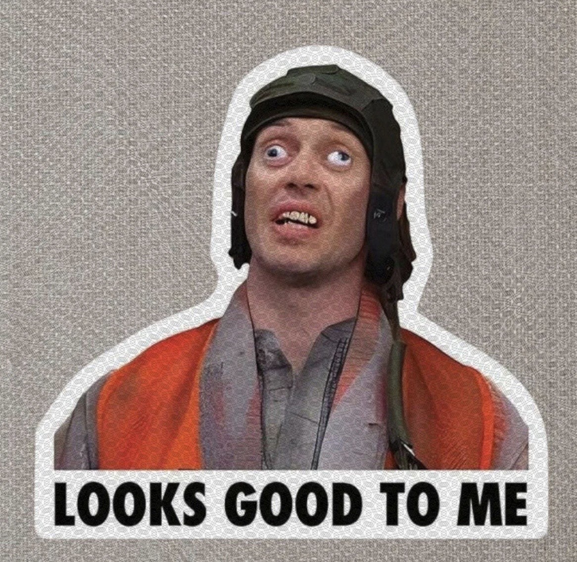 Funny “Looks Good To Me” Approval Sticker 3” Sticker For Tumbler, Laptop