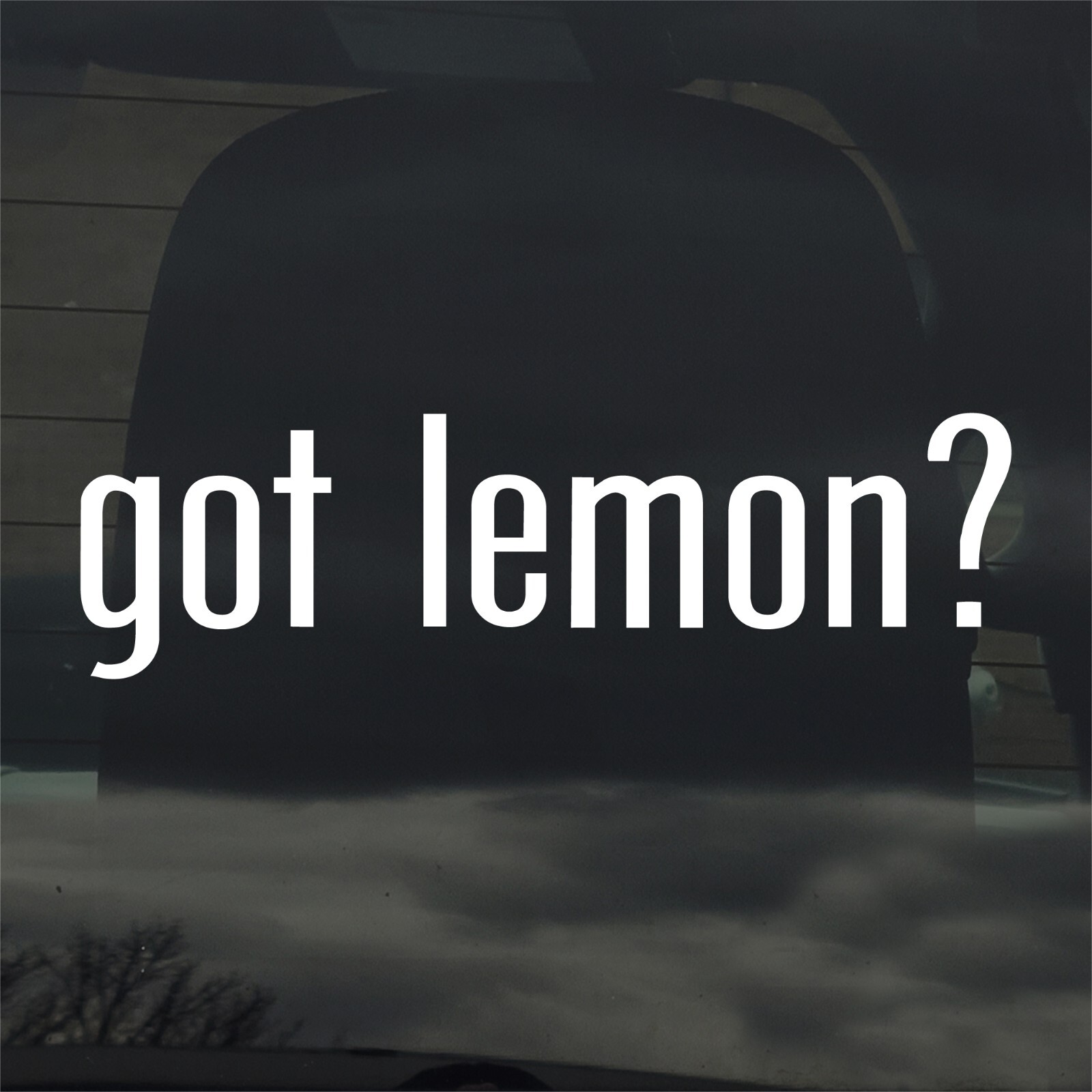 Got Lemon? Custom Vinyl Sticker / Decal Drink Fruit Farm Orchard