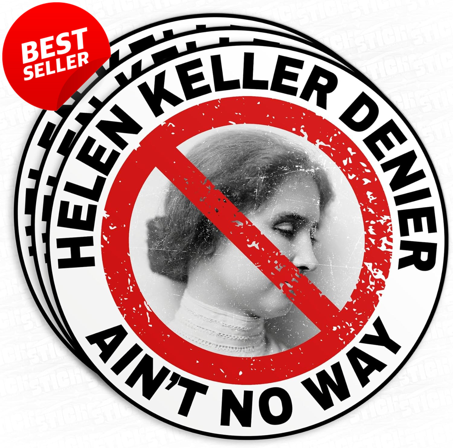 3Pc Helen Keller Denier Matte Stickers 3″ Vinyl for Laptop Kindle Water – US