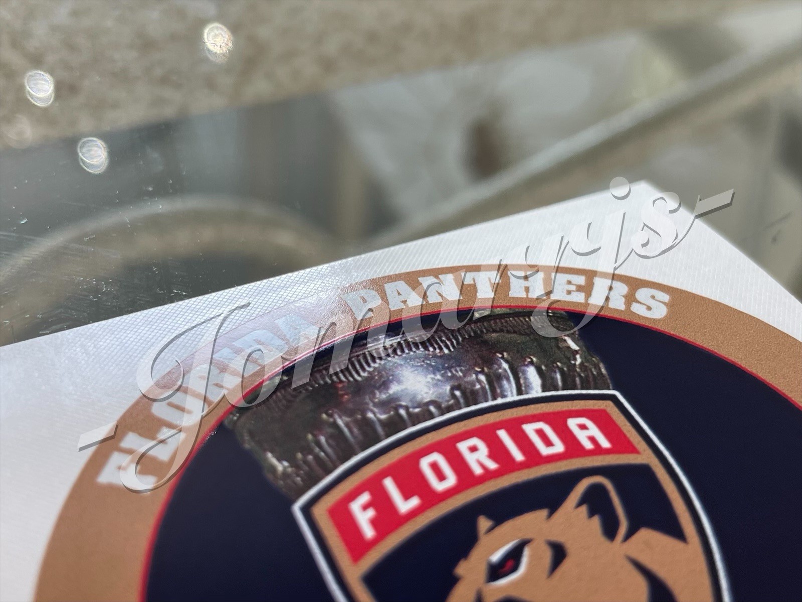 Florida Panthers 2025 Stanley Cup Champions Custom Sticker Decal NHL 3″-18″