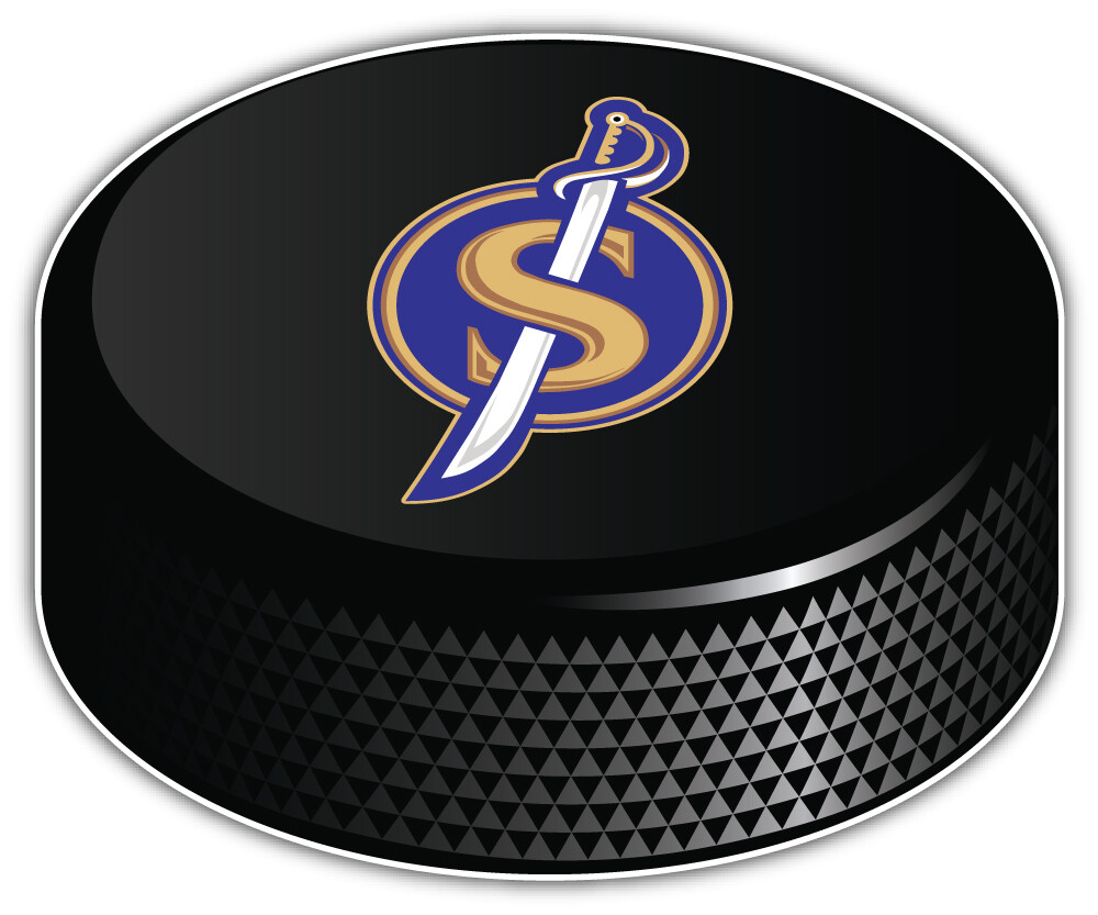 Buffalo Sabres NHL Hockey Sport Logo Car Bumper Sticker Decal «SIZES»