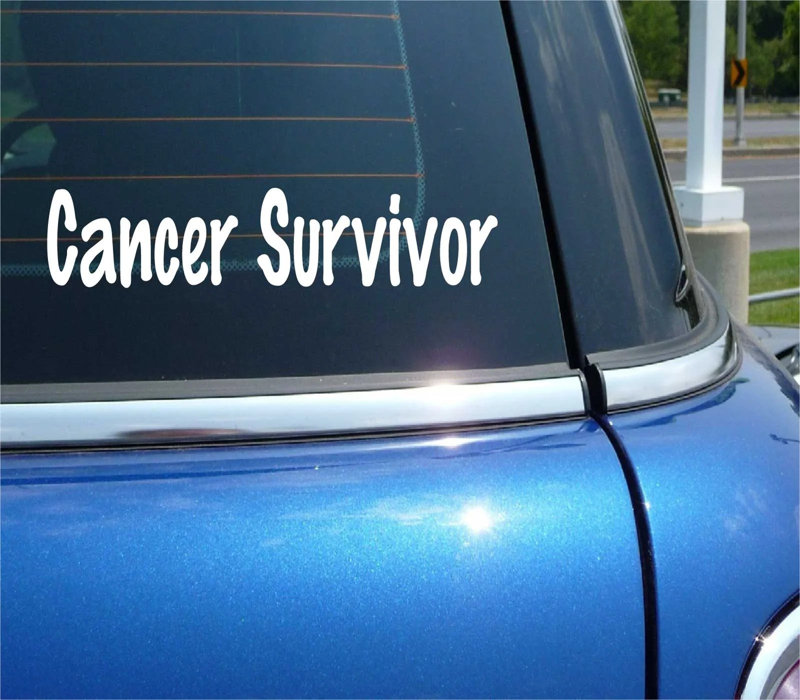 CANCER SURVIVOR DECAL STICKER BREAST COLON PROSTATE COLORECTAL STOMACH SKIN