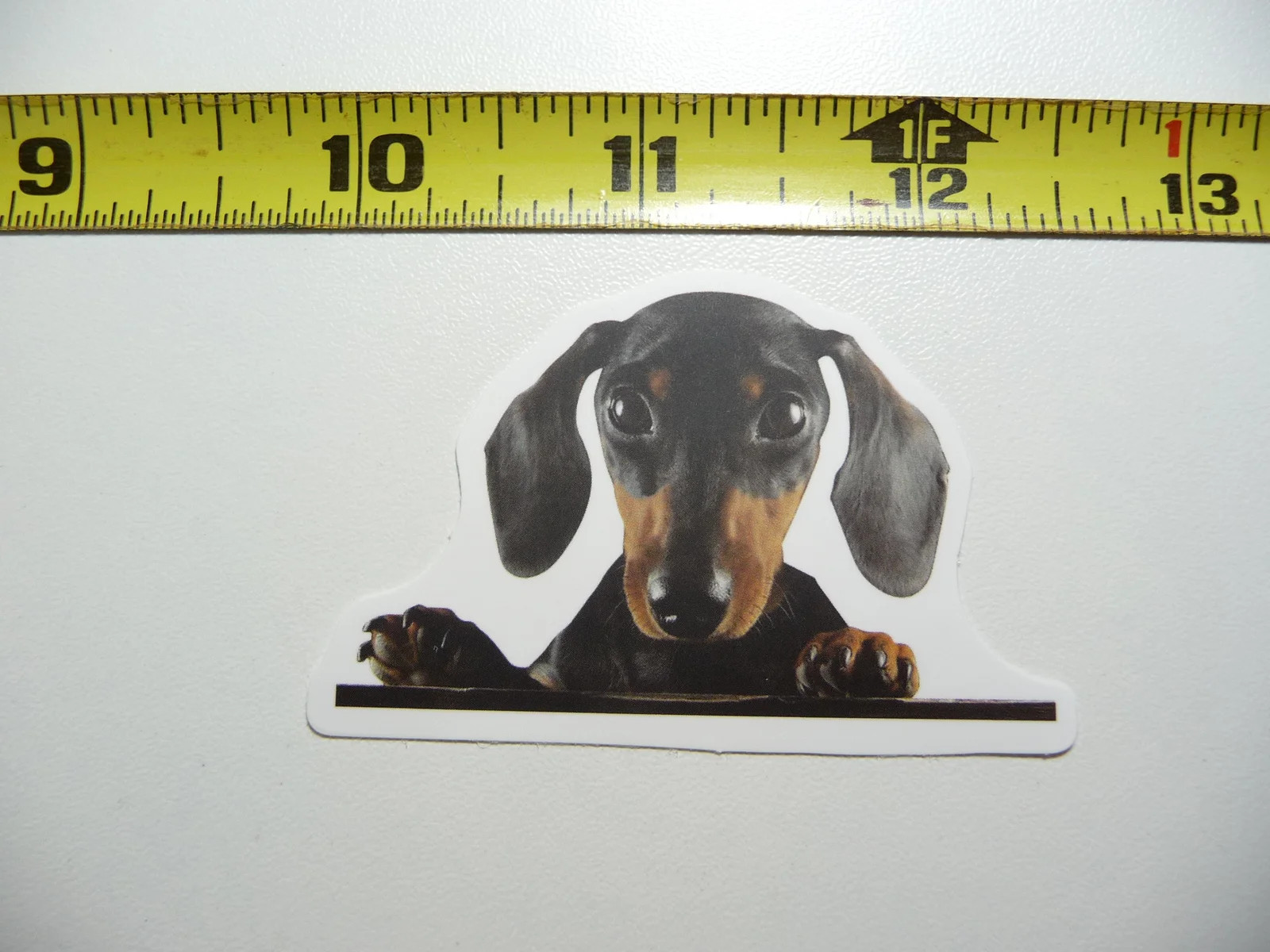 DACHSHUND ON EDGE OF TABLE SMALL STICKER DECAL DOG PET DOXIE WIENER LOVE LOVER