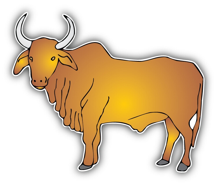 Zebu Sketch Car Bumper Sticker Decal «SIZES»