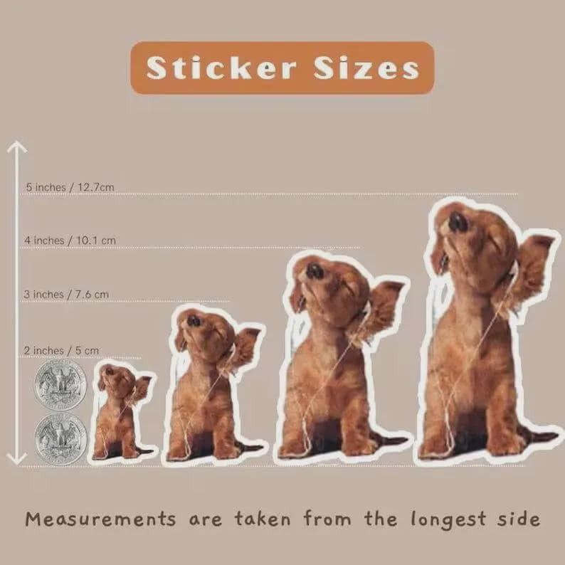 5PCS Loona Wolf Girl Soldier Sticker Tactical Anime Vinyl Decal Pack