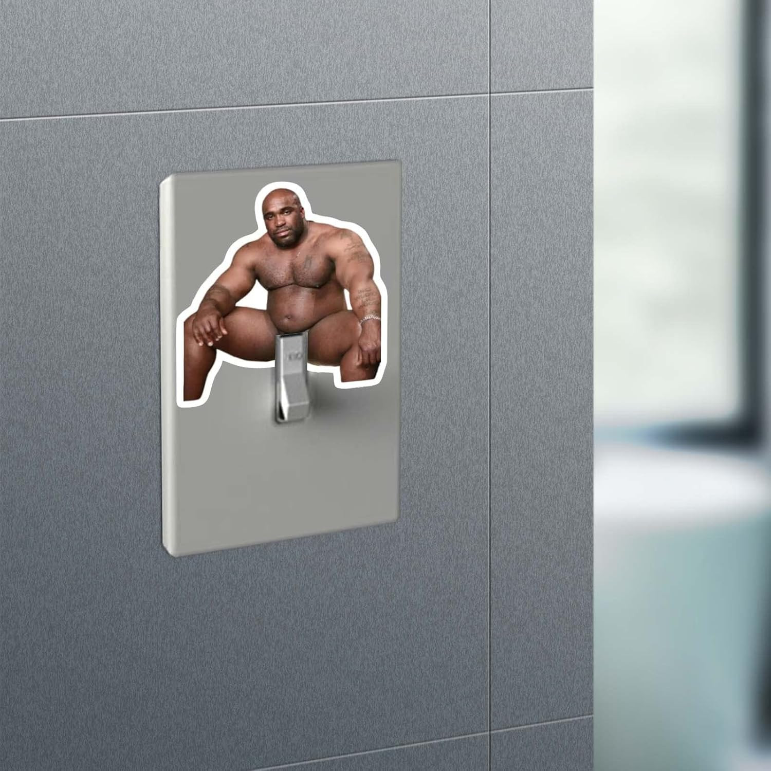 10Pcs Funny Barry Wood Light Switch Sticker Decals, Waterproof Vinyl Prank Jokin