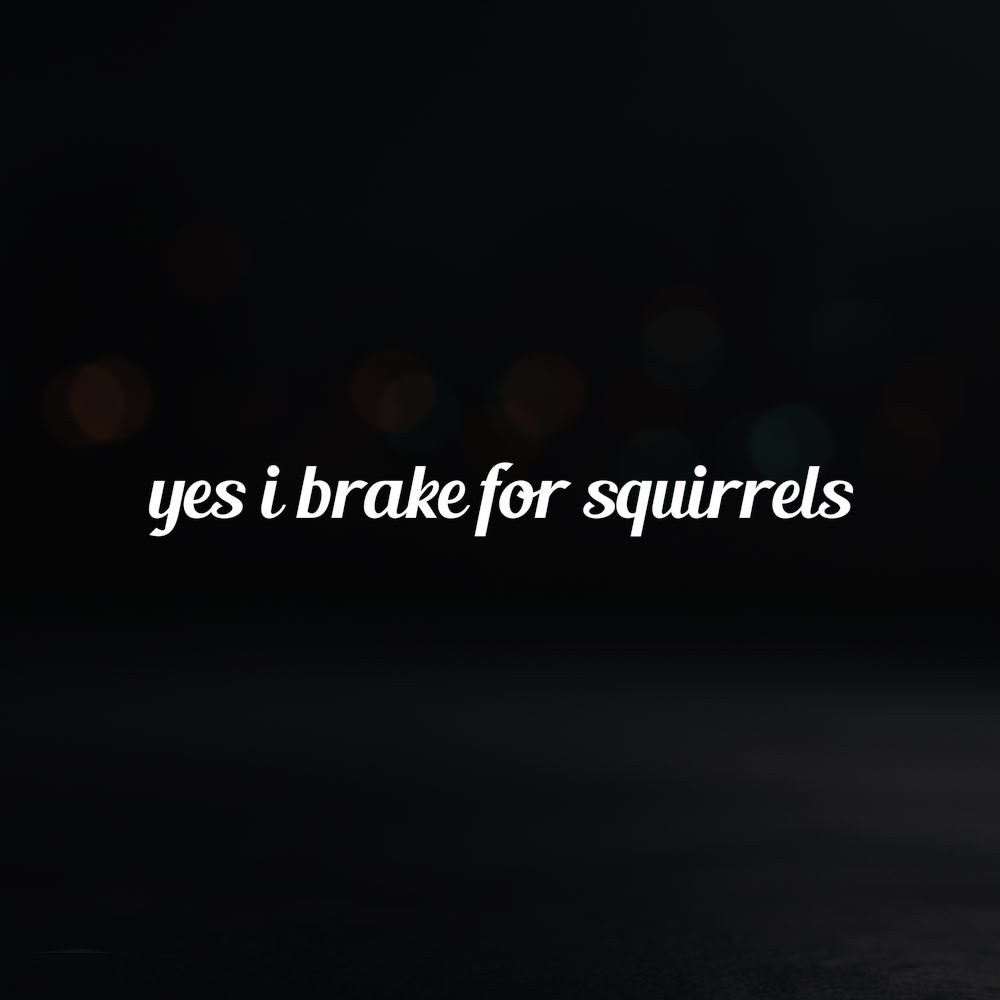 8in Vinyl Decal Sticker – «yes i brake for squirrels»
