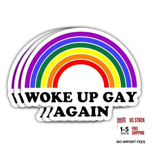 (3 Pcs – 3 inch) Woke Up Gay Again LGBT Pride Vinyl Sticker, LGBTQ Decor
