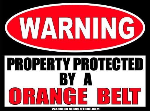 Orange Belt Martial Arts Warning Sign Stickers Set of Decals 4″ wide WS299