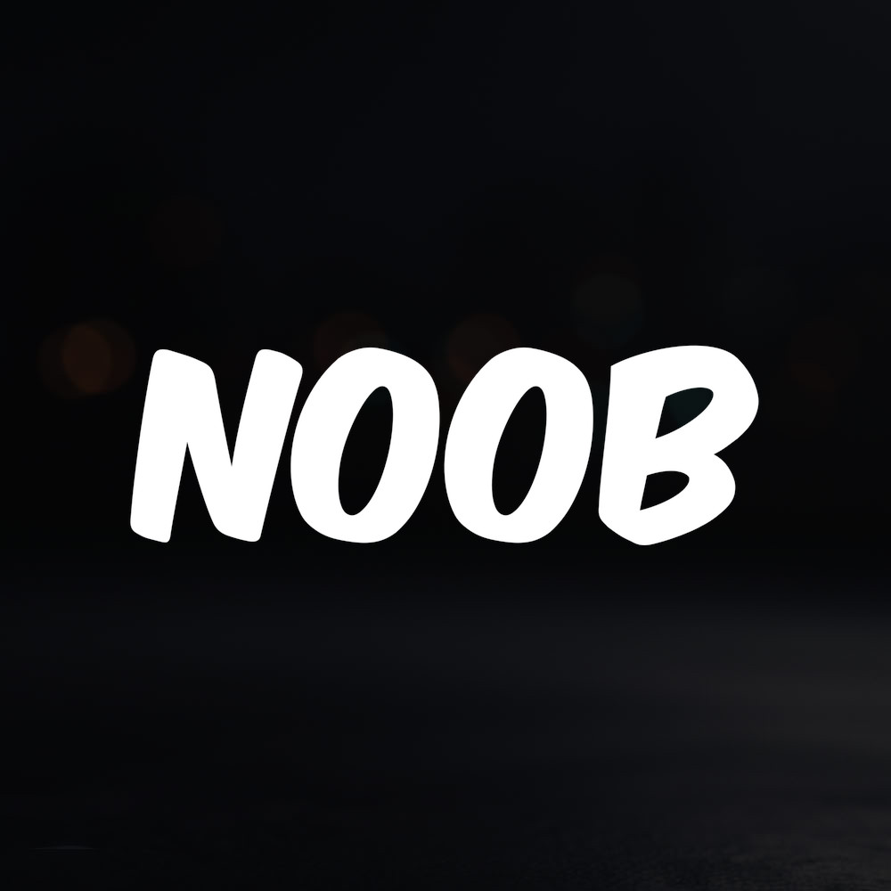 8in Vinyl Decal Sticker – «Noob»