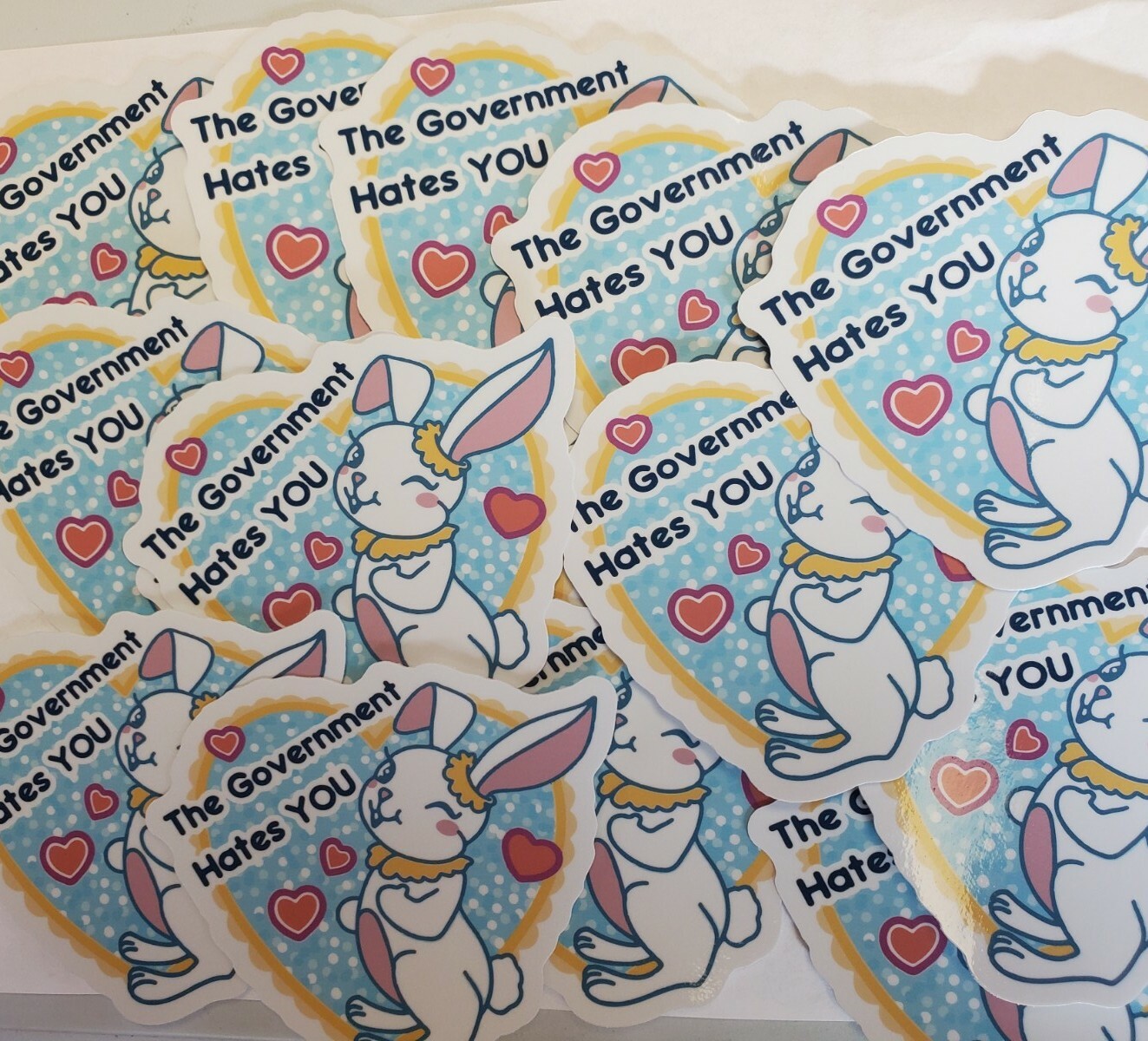 The Government Hates You STICKERS 10 PACK LOT *WORLDWIDE 🌐 SHIPPING*