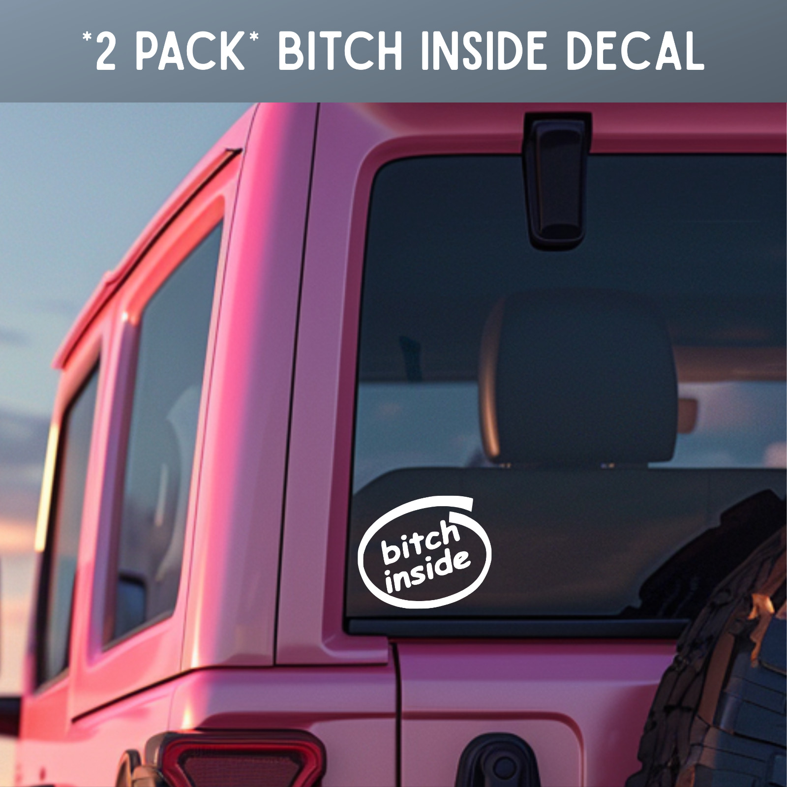 Bitch Inside ~ 2 PACK ~ Multiple Color ~ Funny ~ Vinyl Decals