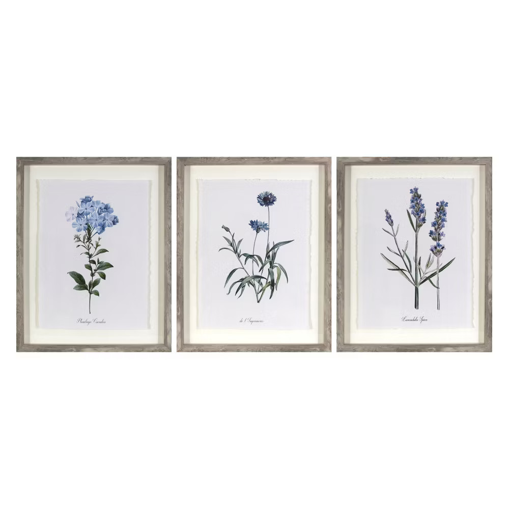 (Set of 3) 16″x20″ Framed Vintage Botanicals Decorative Wall Art – Threshold