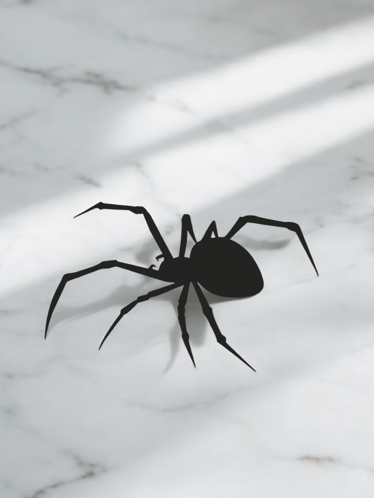 BLACK WIDOW SPIDER VINYL DECAL FOR VEHICLE JEEP BRONCO CAR WINDOW LAPTOP