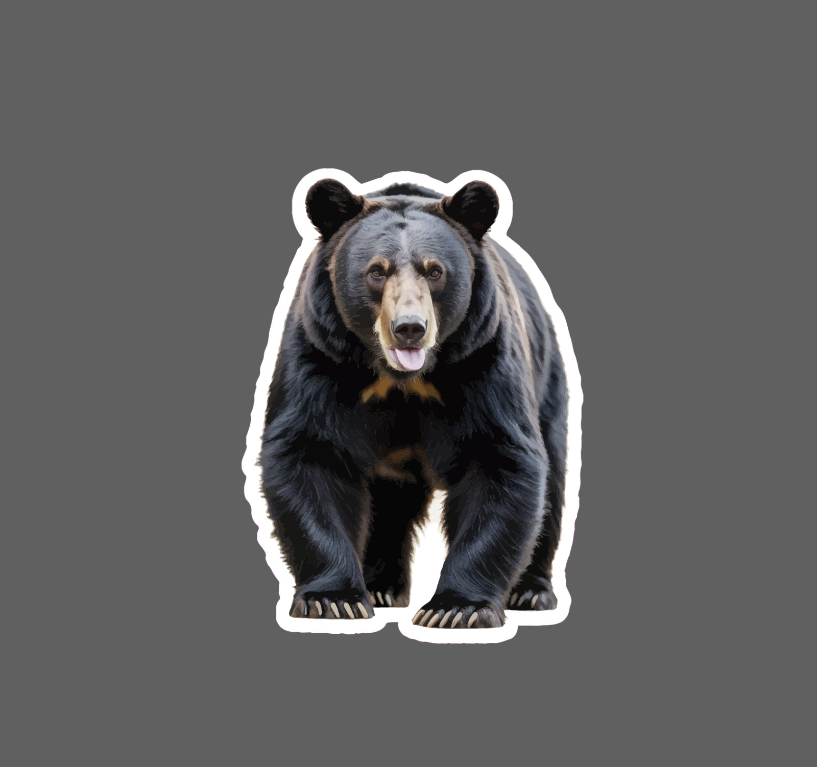 Black Bear Sticker Realistic Wildlife Nature Outdoor Gift Waterproof NEW