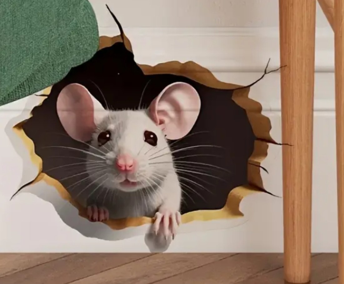 🤣2x Decal Prank Rat Mouse Hole In Wall Sticker Adhesive Room Bedroom Reusable