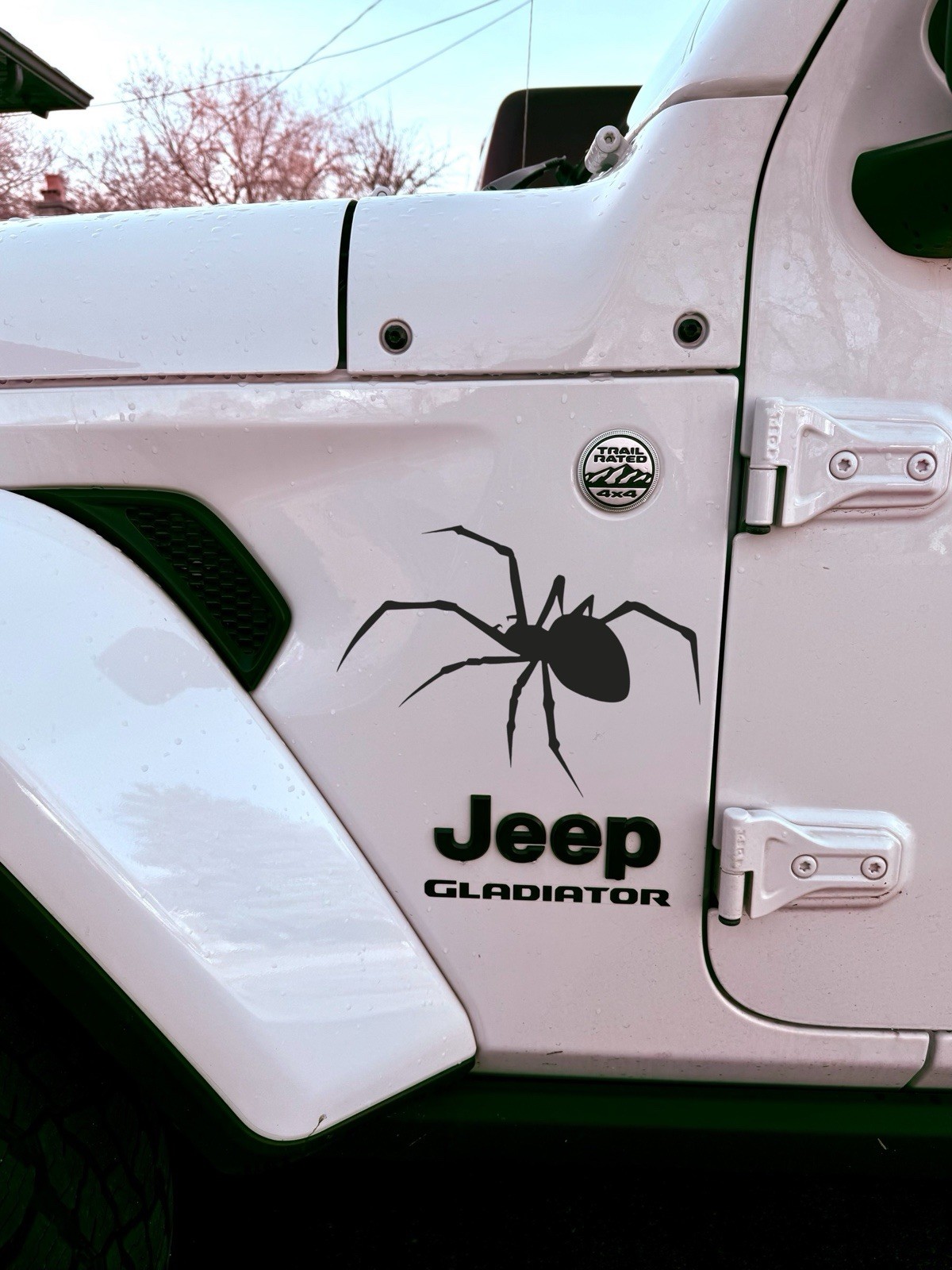 BLACK WIDOW SPIDER VINYL DECAL FOR VEHICLE JEEP BRONCO CAR WINDOW LAPTOP