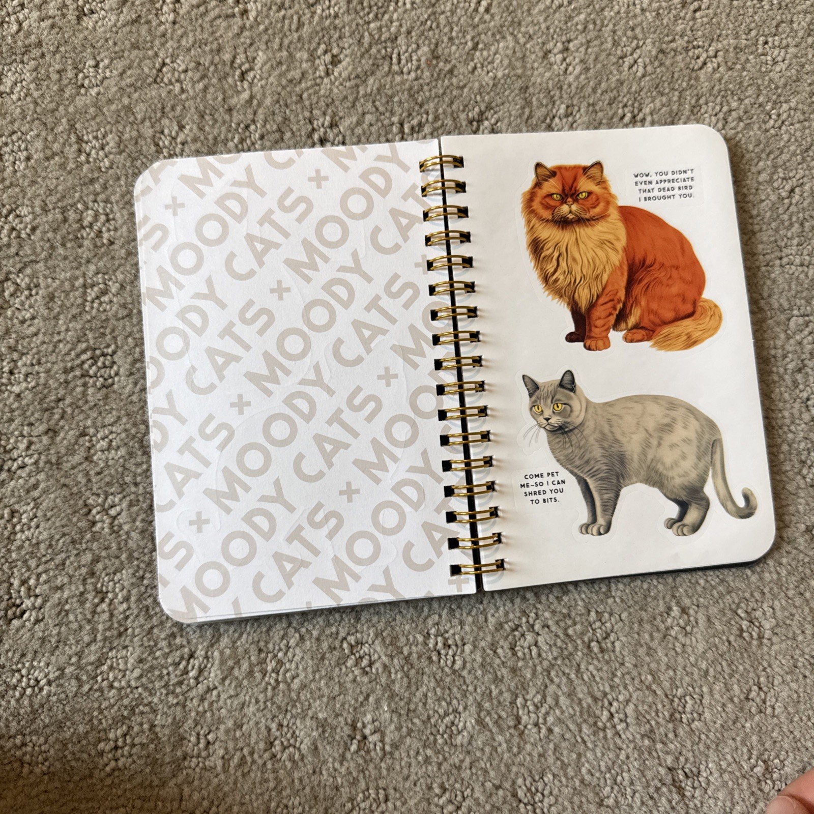 Brass monkey Co Moody Cats Sticker Book Funny Gift Cat Lover