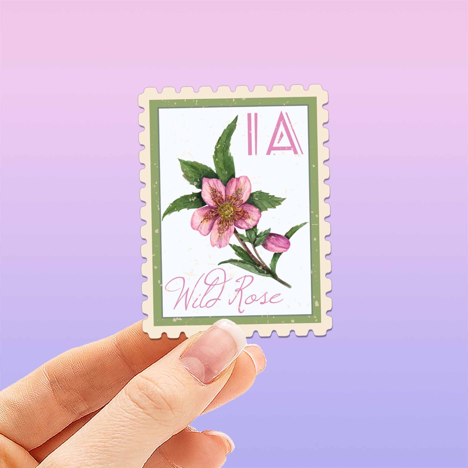 Iowa State Flower Wild Rose Sticker – IA Vintage Stamp Decal for Laptop, Thermos