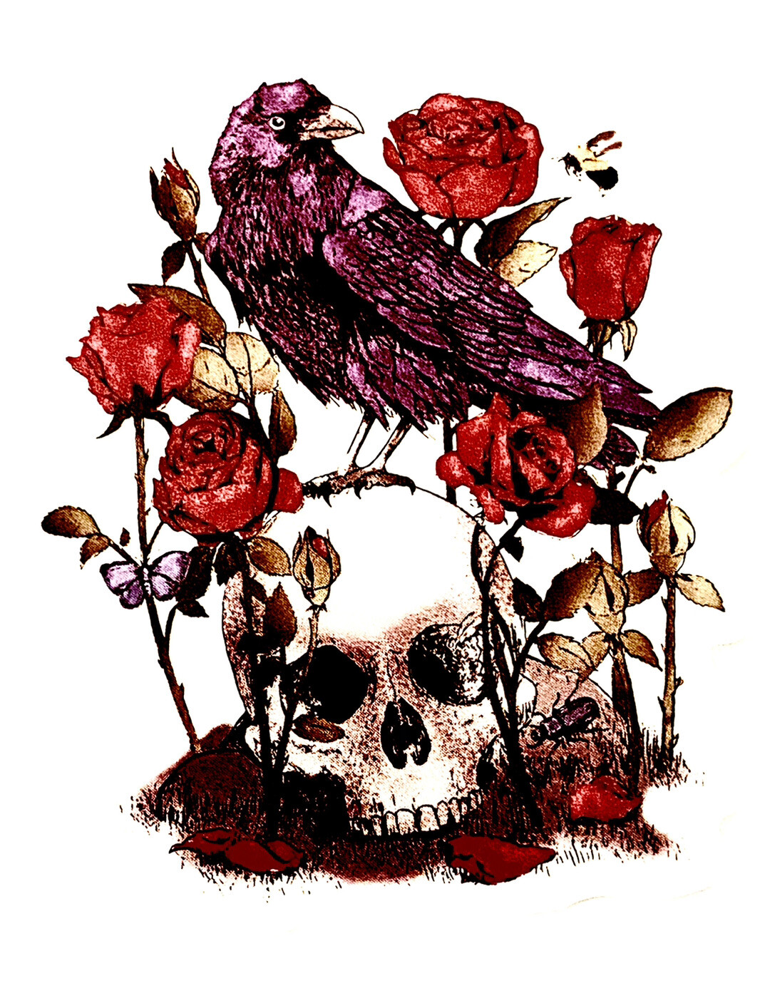 Skull Raven 2″ Sticker Nevermore Edgar Allen Poe Dark Art Fiction Fantasy Black