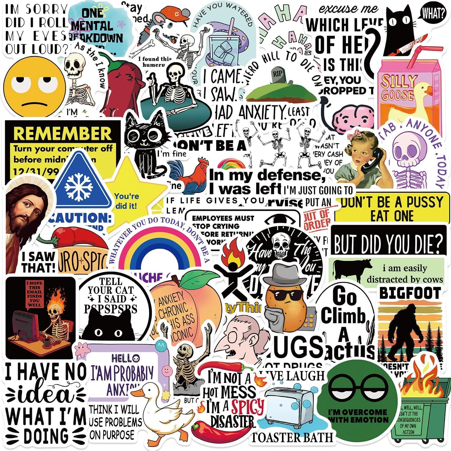 50Pcs Funny Adults Stickers Bulk, Prank Meme Sticker for Kids Teens Adults, Snar