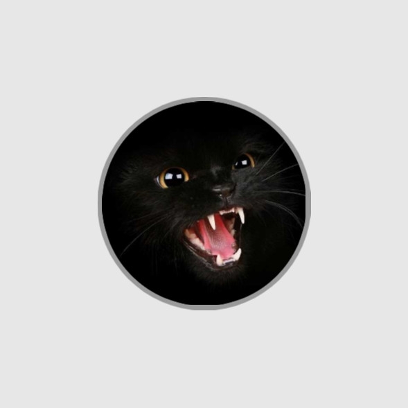Angry Basement Cat – Vinyl Waterproof Stickers 3″