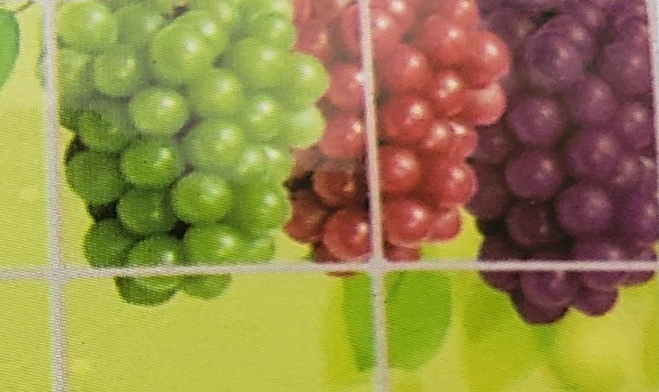 STOVE BACKSPLASH STICKER /WALL DECAL (35″x23″) COLORFUL FRUITS ON GREEN BACK # 1