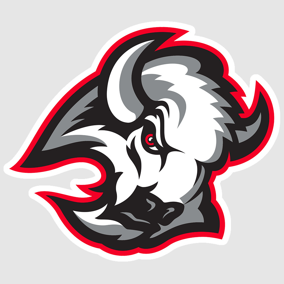 Buffalo Sabres Vinyl Sticker Decal 17