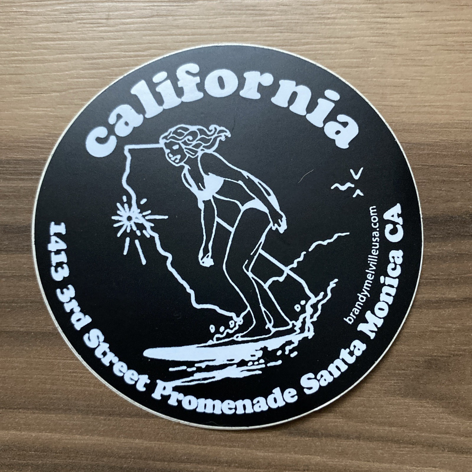Brandy Melville Santa Monica California Surfer Sticker