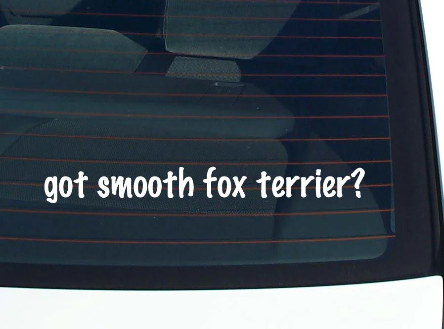 got smooth fox terrier? CAR DECAL BUMPER STICKER VINYL FUNNY JOKE WINDOW