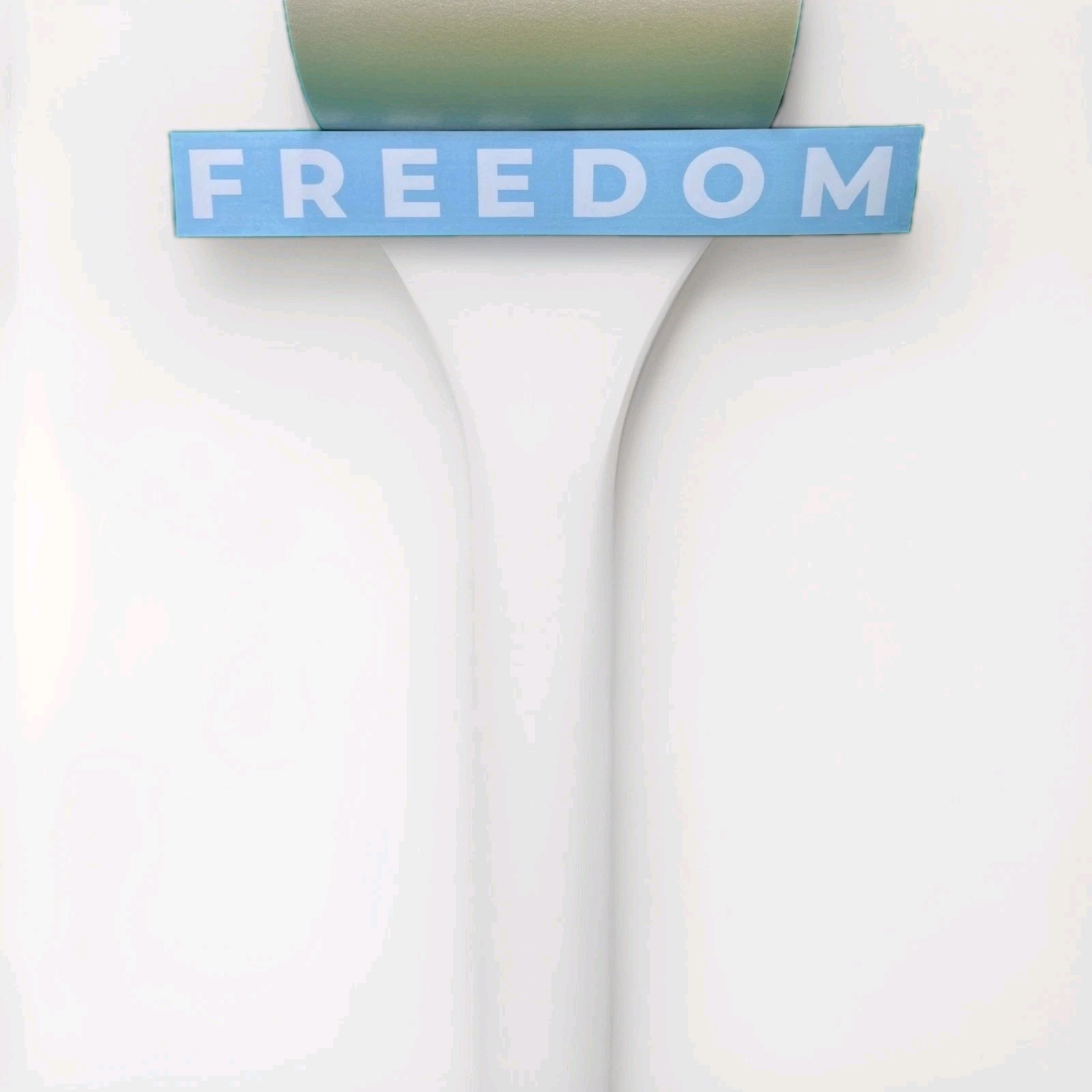 (6) FREEDOM Decal Vinyl Transfer Sticker Die Cut Car Window Laptop Charlie Kirk