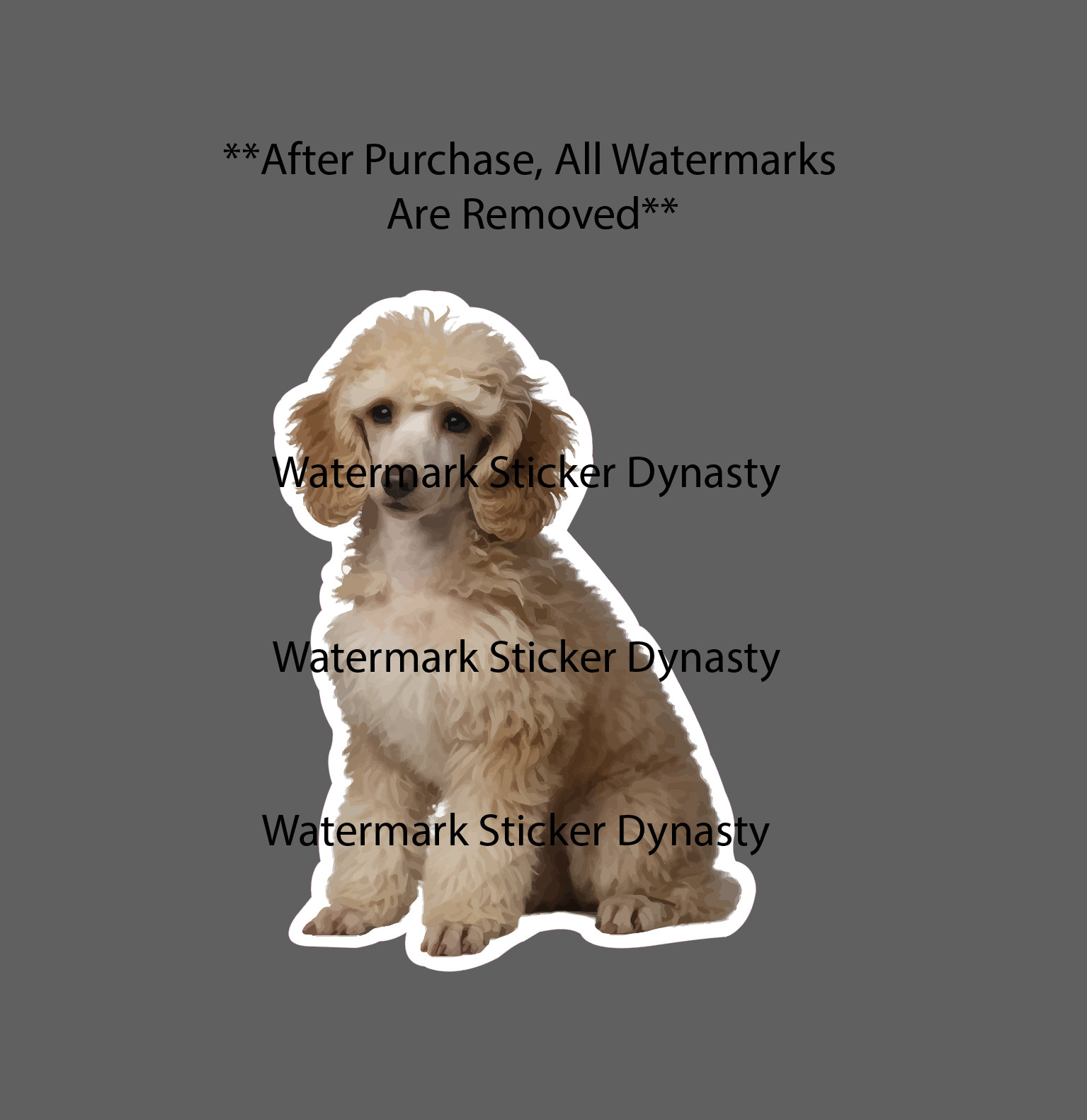 Poodle Sticker Waterproof Decal Dog Animal Pet Family Friend Gift NEW