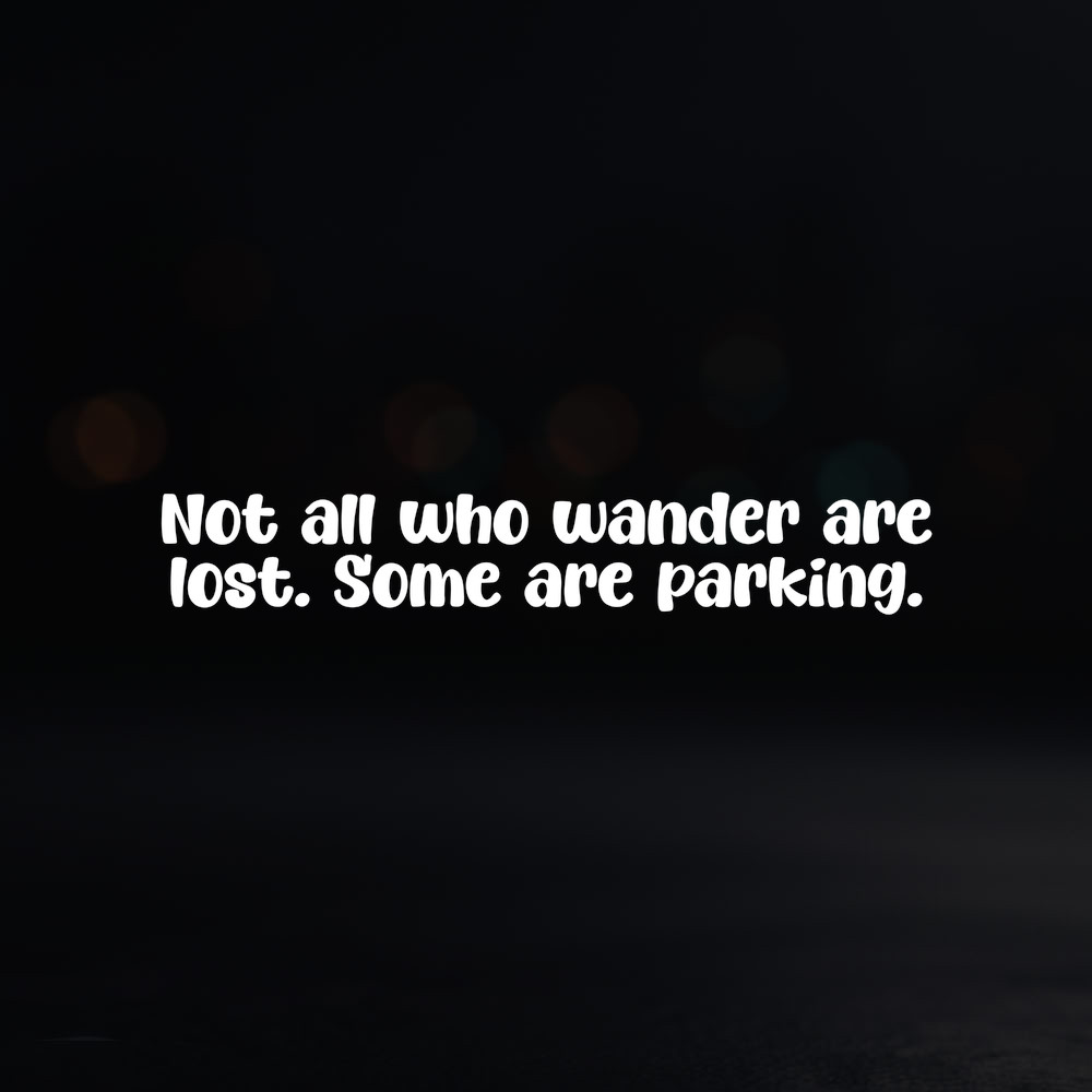 8in Vinyl Decal Sticker – «Not all who wander are lost. Some are parking.»