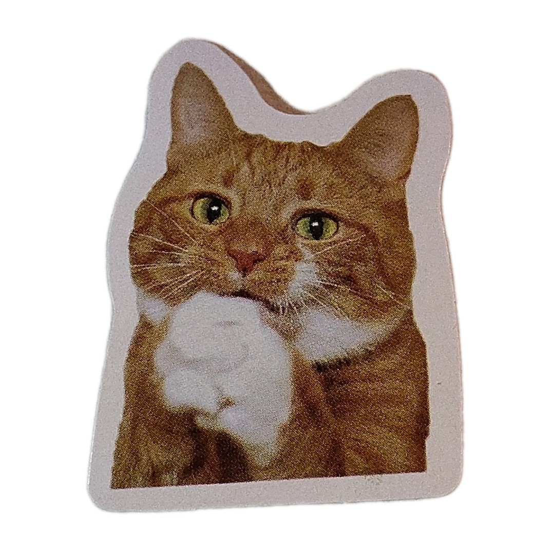 Funny Orange Cat Face Sticker Decal Laptop Phone Fashion 1.5″ Tall