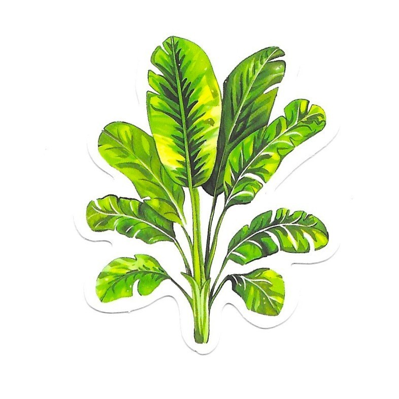 Vinyl Sticker Die Cut Split Leaf Tropical Decal Jungle Houseplant Plant Lover