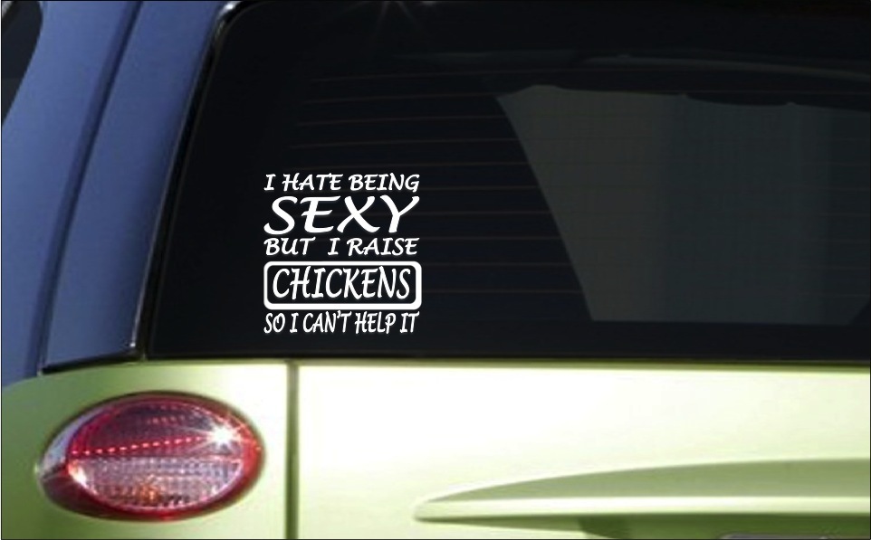 Sexy chickens 6″ sticker *G61* decal incubator rooster eggs hen chicken