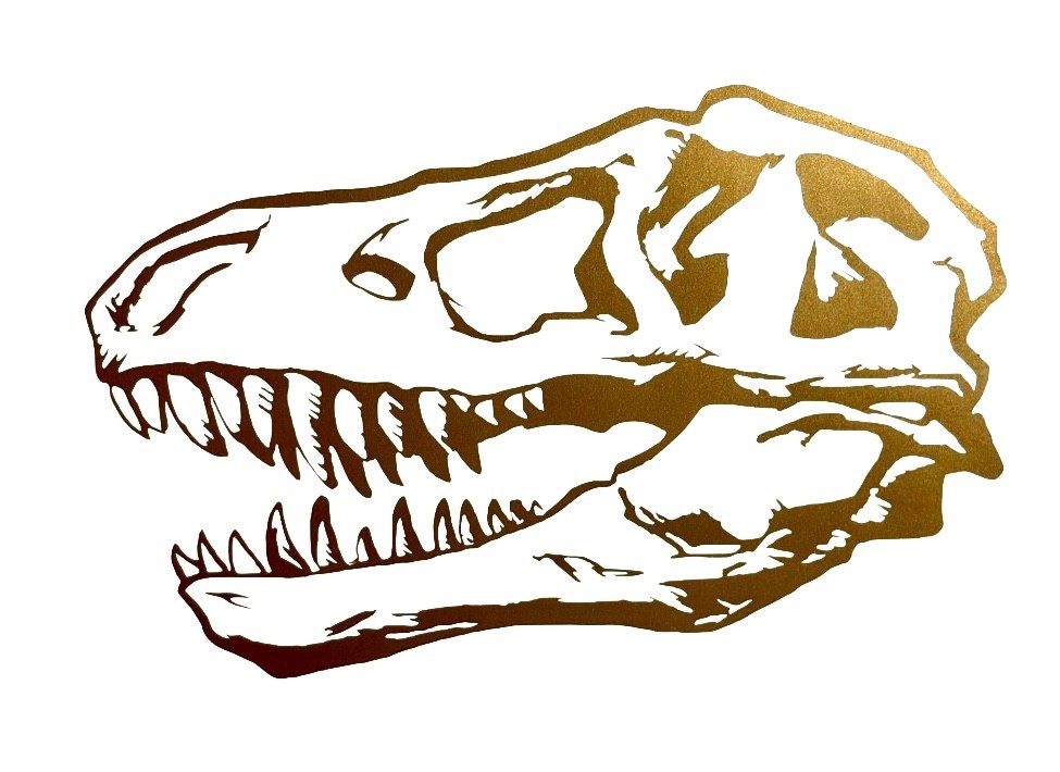 T-REX, Tyrannosaurus Sticker, Decal Vinyl For Laptop, Helmet, Vehicle