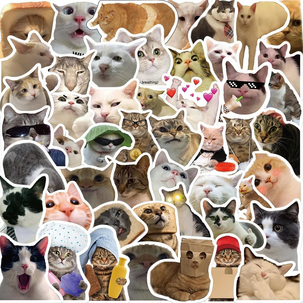 50PCS Funny Cat Meme Stickers – Cute Cat Expression Waterproof Vinyl Pack