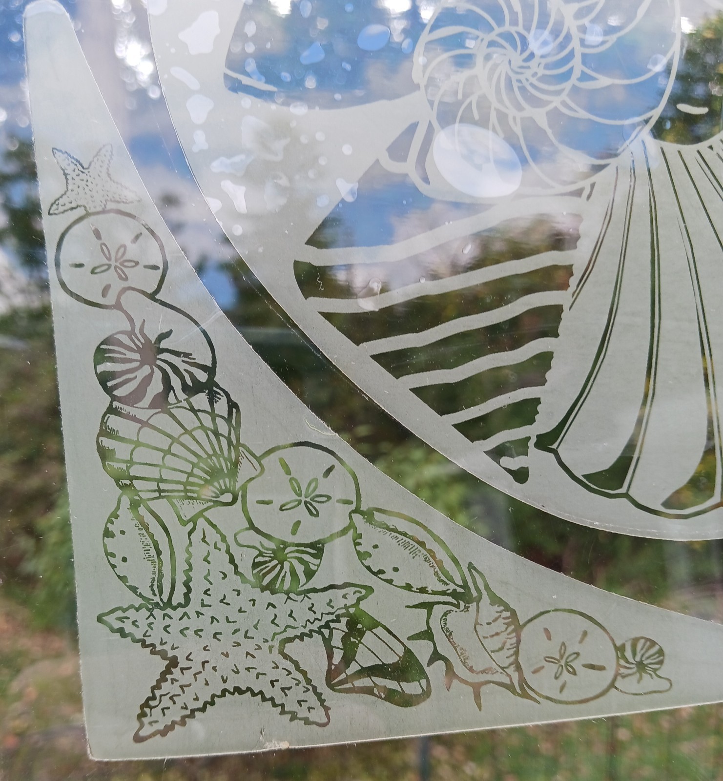 SEASHELLS Etched Look Cling 5″X5″ Corners Removable & Reusable 205
