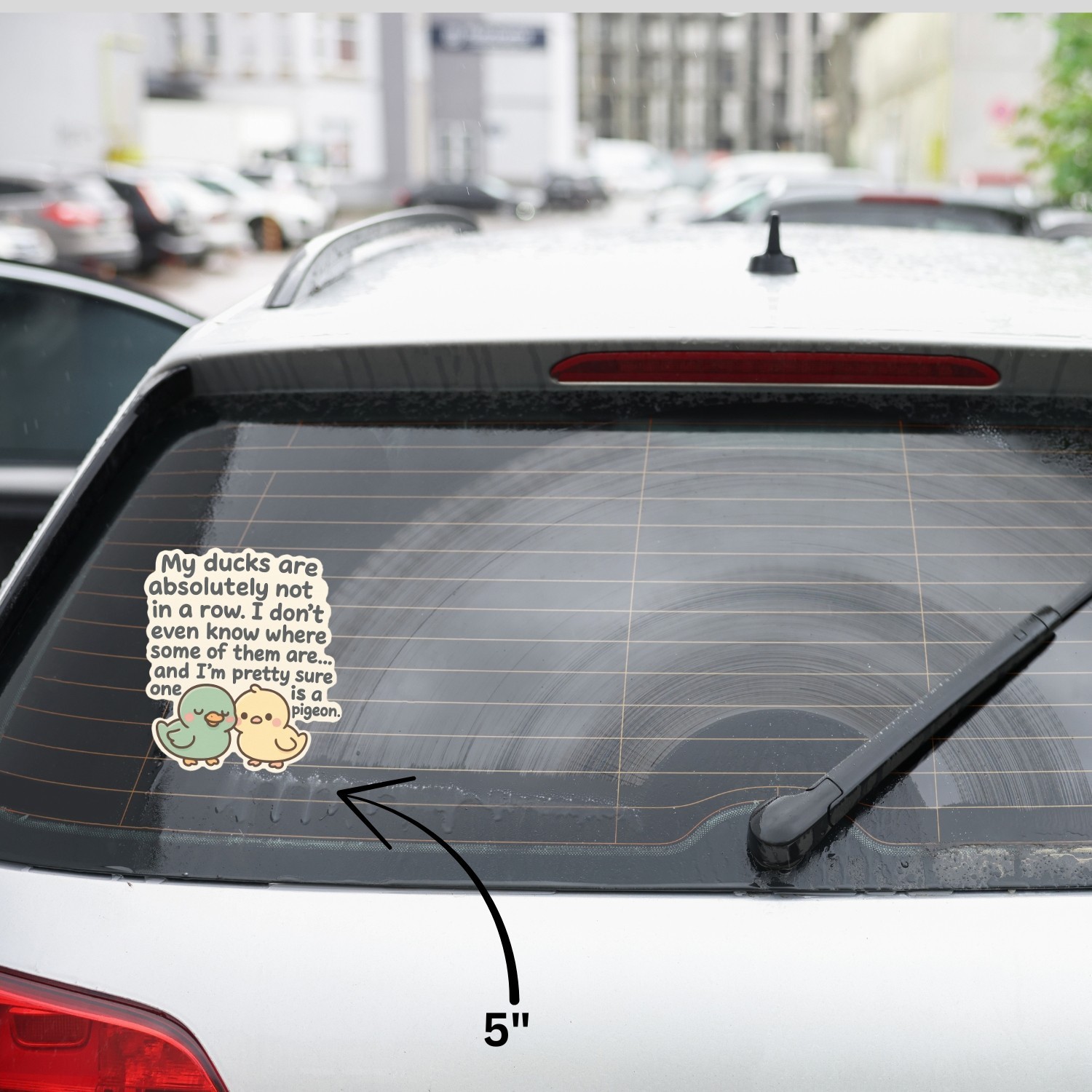 4Pcs My Ducks Are Absolutely Not in a Row Stickers – Funny Sarcasm Vinyl Decals