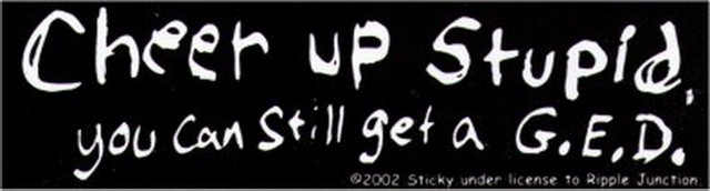 Cheer Up Stupid You Can Stuill Get A GED (2002) Ripple Junction Licensed Sticker