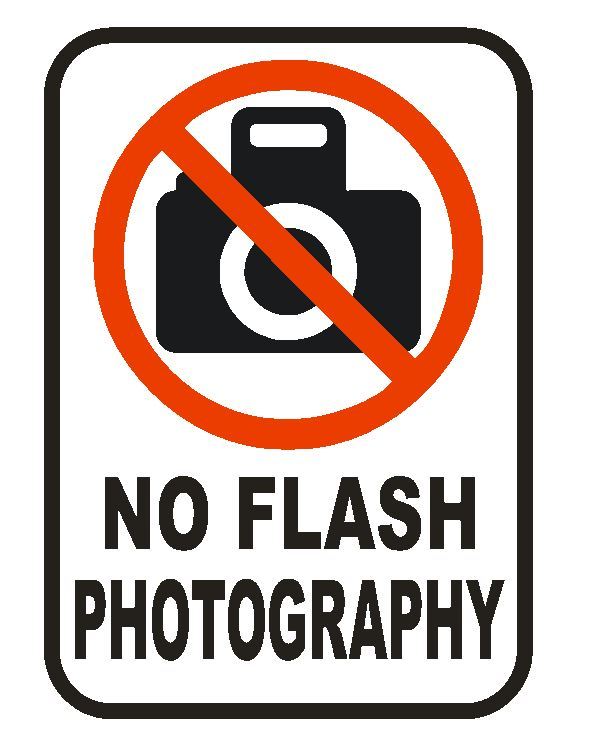 No Flash Photography Sticker Safety Decal Label D859