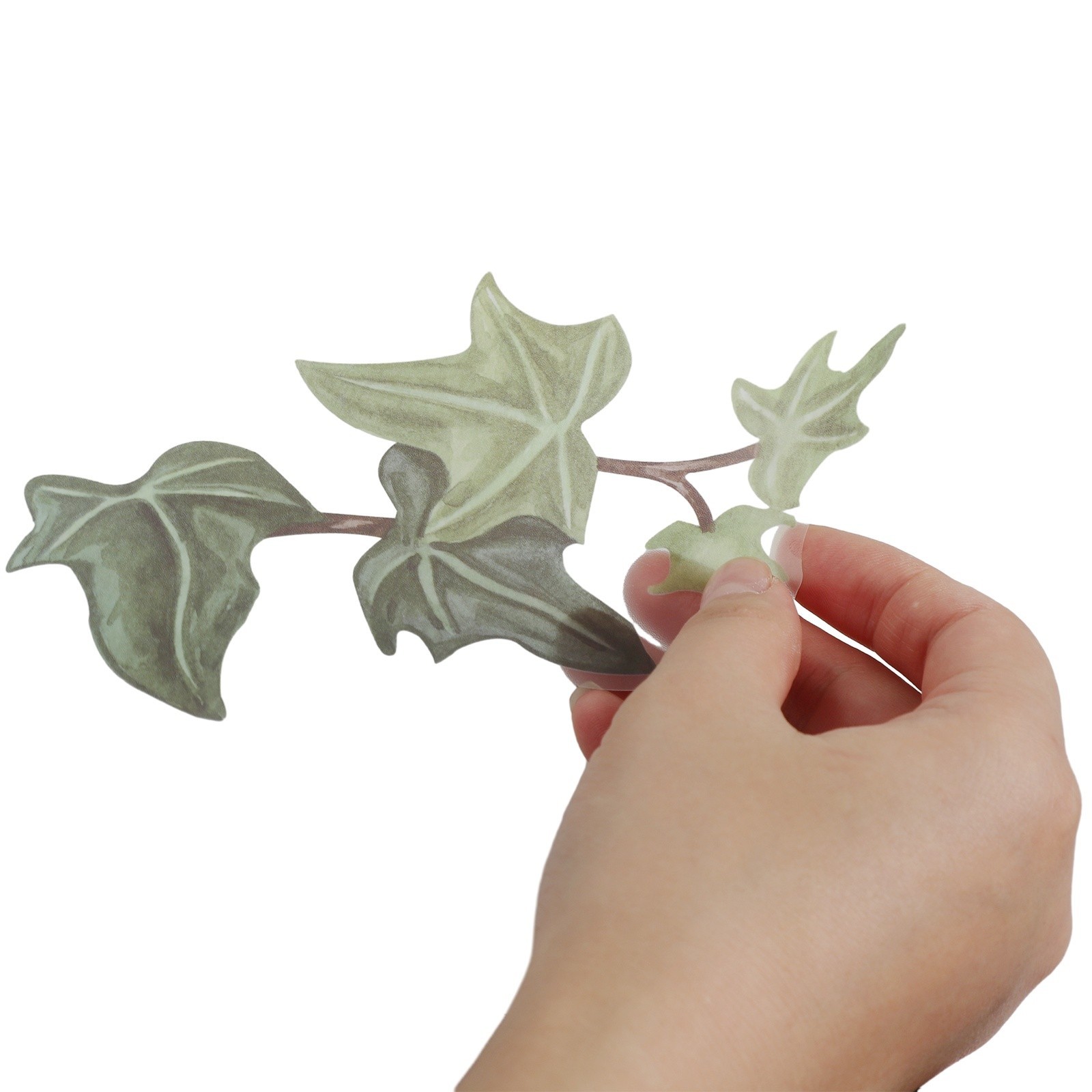 Removable Wall Stickers Ivy Leaf Vines Foliage Climbing Green Leaves Decor DIY