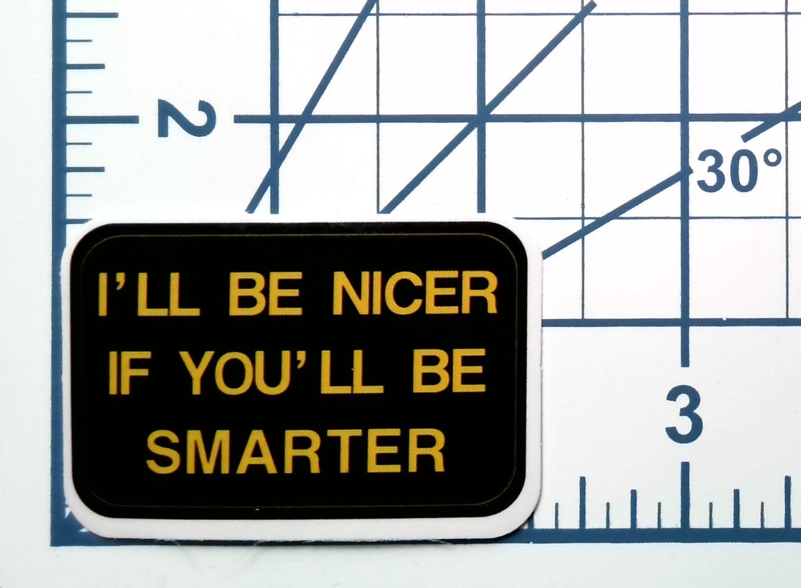 I’ll Be Nicer If You’ll Be Smarter Vinyl Sticker Funny Sarcastic Quote Decal