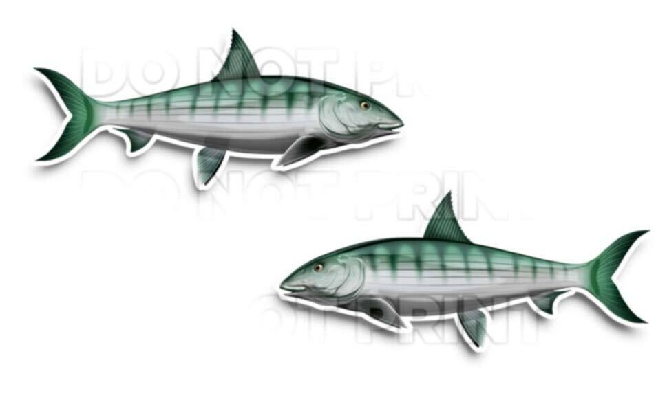 Bonefish Decals Fish Stickers Vinyl Tackle Box Stickers – Set of 2 #149
